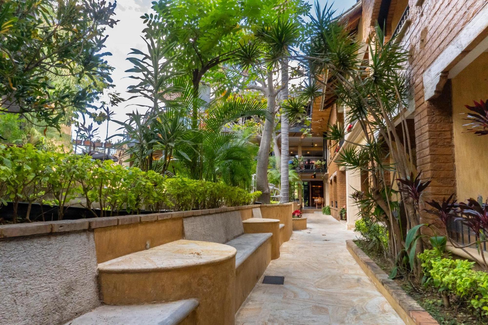 Casa De Adobe Gallery & Luxury Boutique Oaxaca Екстер'єр фото